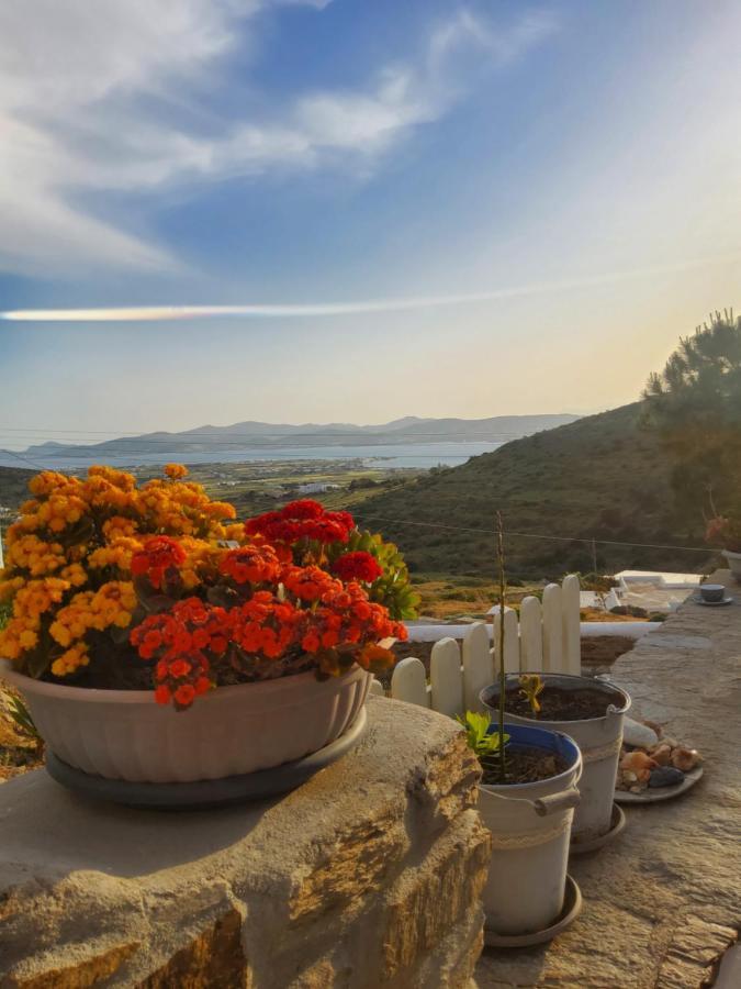 Romantic Sunset Cycladic House In Sotires Moni Christou Dasous ภายนอก รูปภาพ