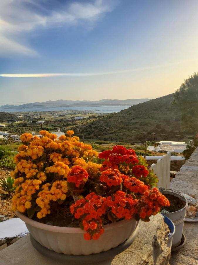 Romantic Sunset Cycladic House In Sotires Moni Christou Dasous ภายนอก รูปภาพ